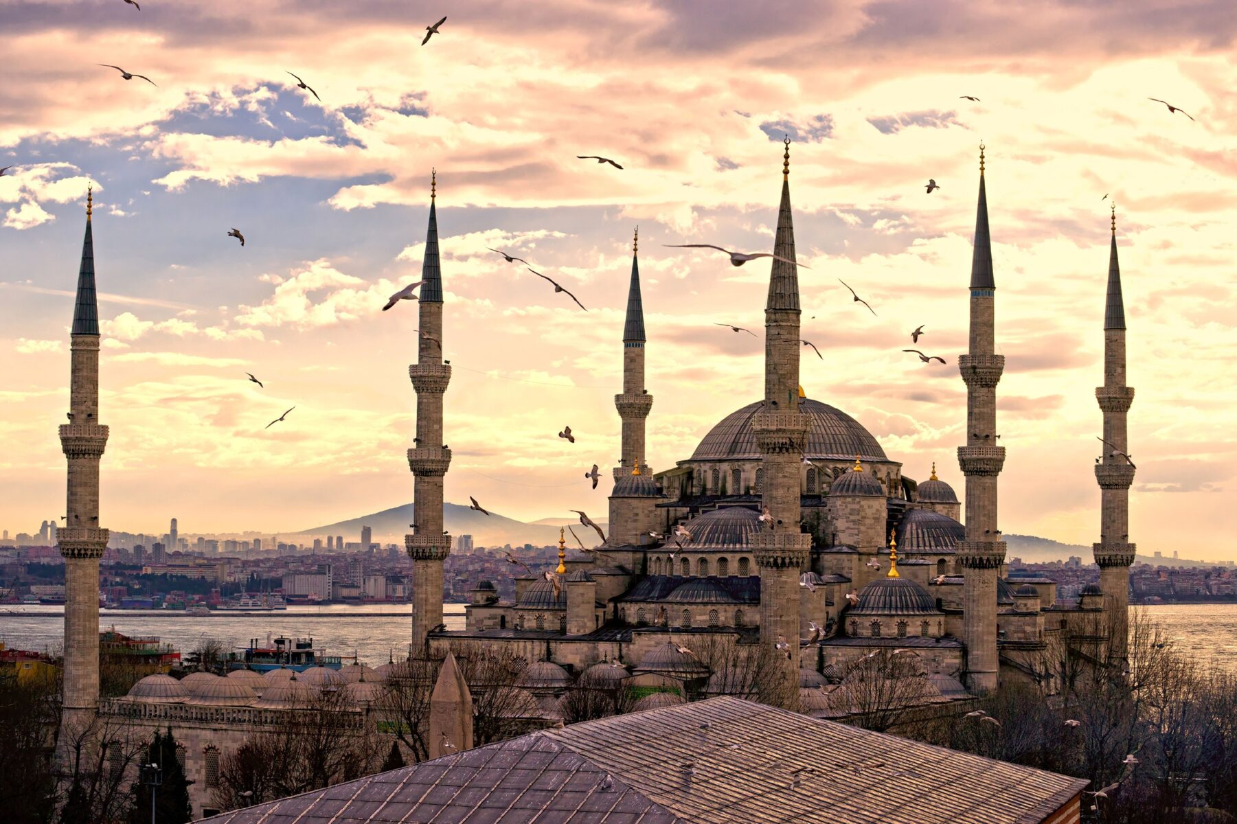 ESTAMBUL - MEZQUITA AZUL 2404x1602
